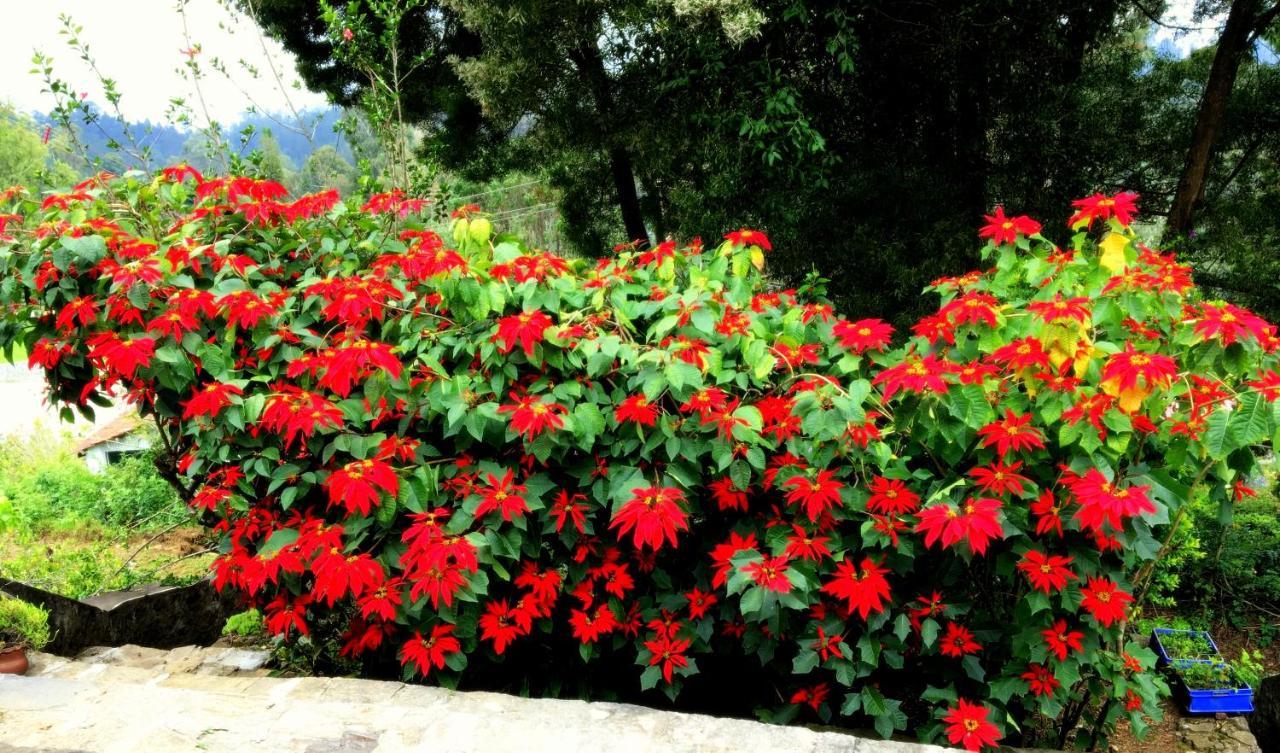 Maruti Villa Kodaikanal Buitenkant foto