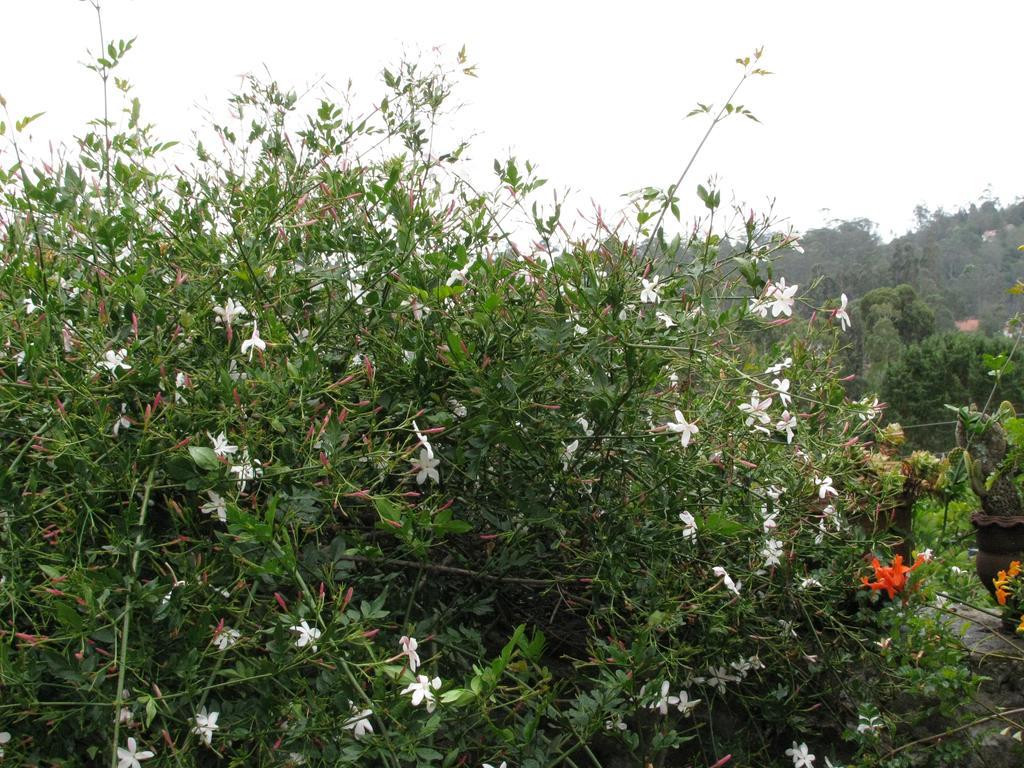 Maruti Villa Kodaikanal Buitenkant foto