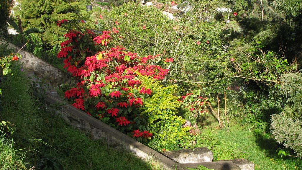 Maruti Villa Kodaikanal Buitenkant foto